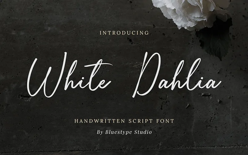 White Dahlia author illustration