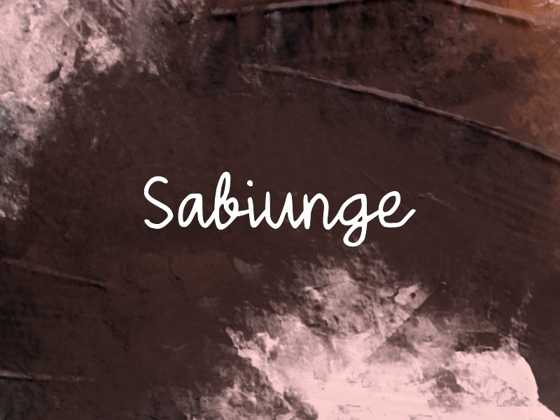 Sabiunge author illustration