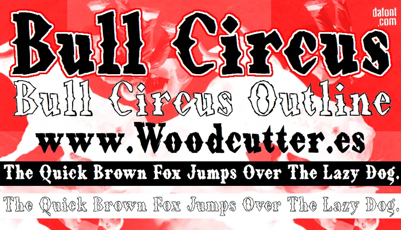 Bull Circus author illustration