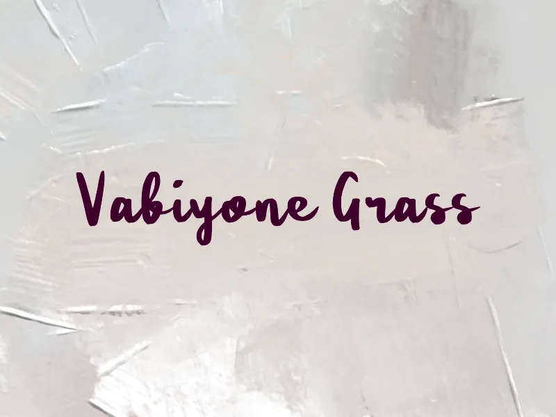 Vabiyone Grass author illustration