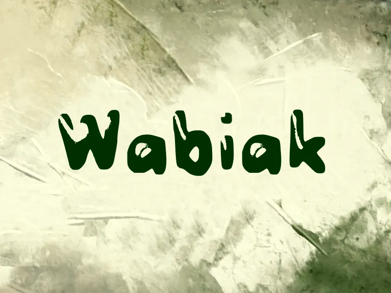 Wabiak author illustration