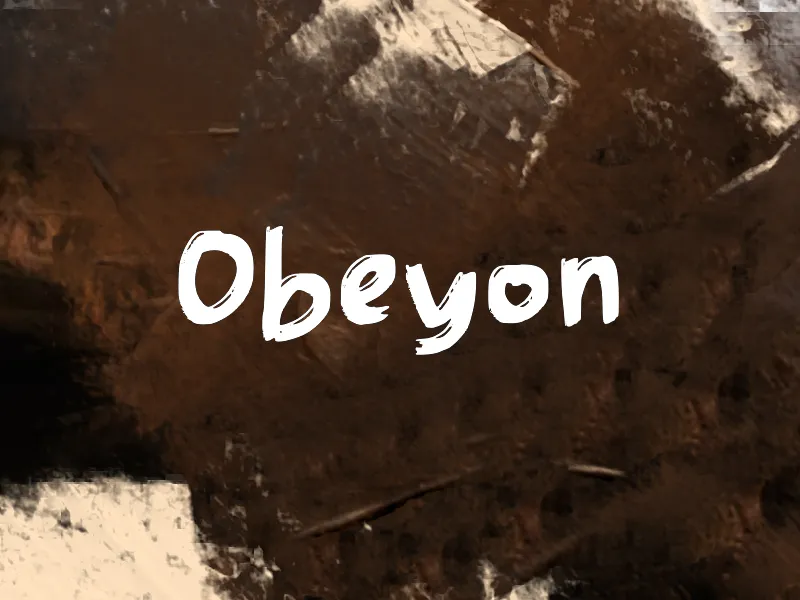 Obeyon author illustration