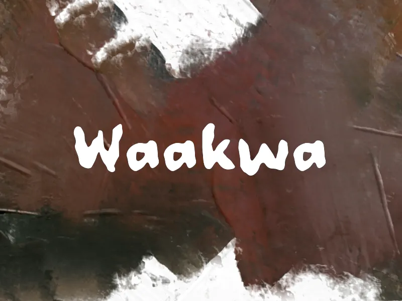 Waakwa author illustration