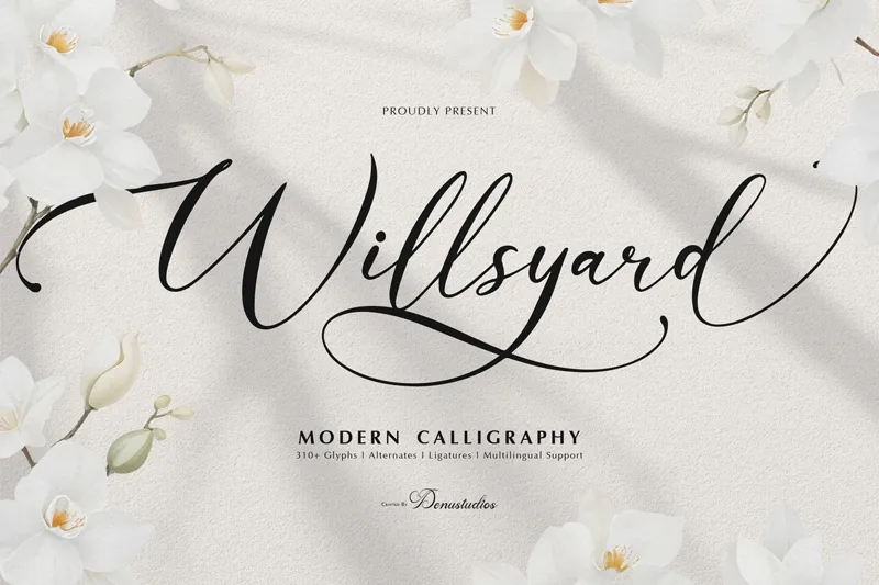 Willsyard author illustration