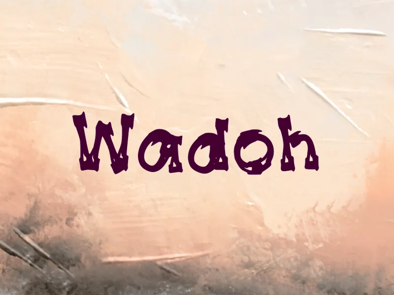 Wadoh author illustration