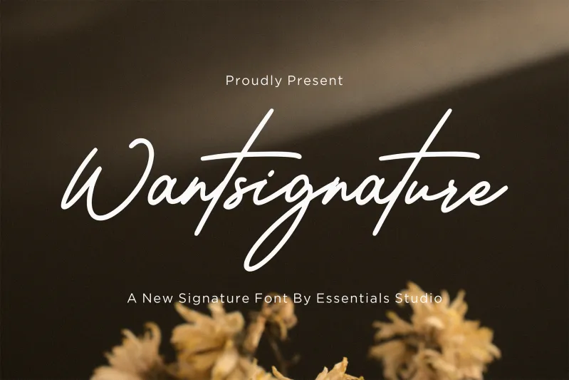 Wantsignature author illustration