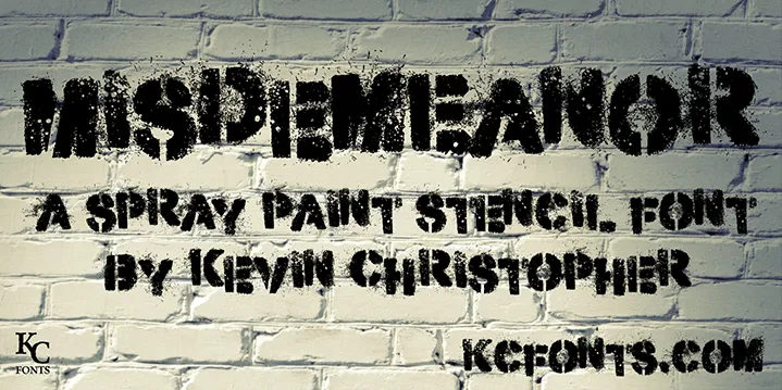 Misdemeanor author illustration