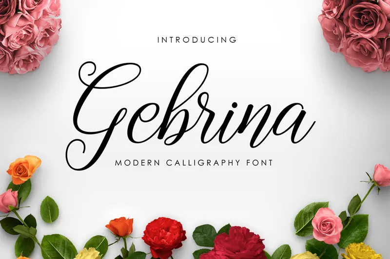 Gebrina author illustration
