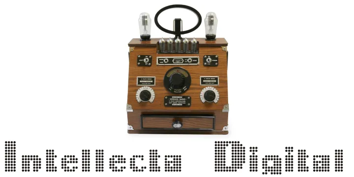 Intellecta Digital author illustration