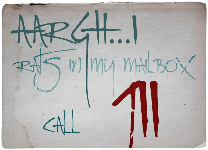 Rat Infested Mailbox author illustration