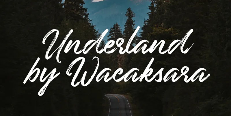 Underland author illustration