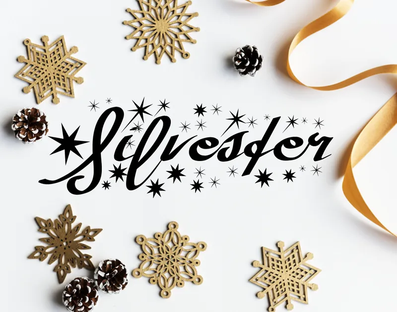 Silvester author illustration