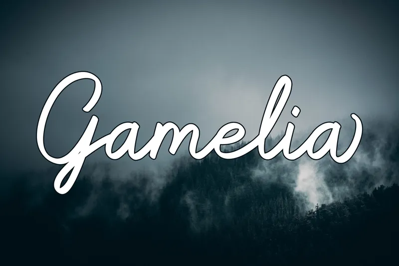 Gamelia author illustration