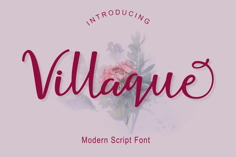 Villaque Script author illustration