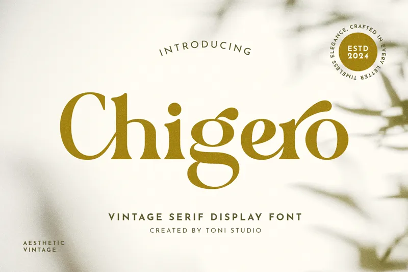 Chigero author illustration