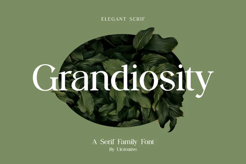 Grandiosity author illustration