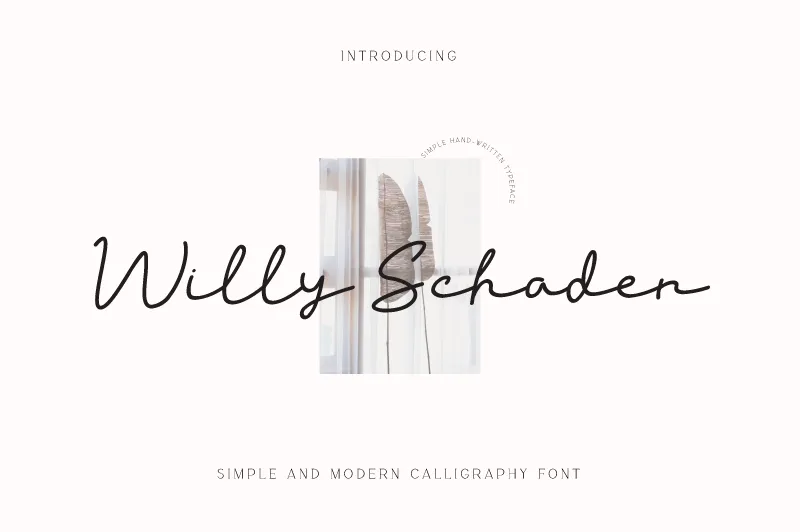 Willy Schaden author illustration