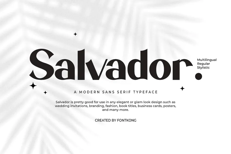 Salvador author illustration