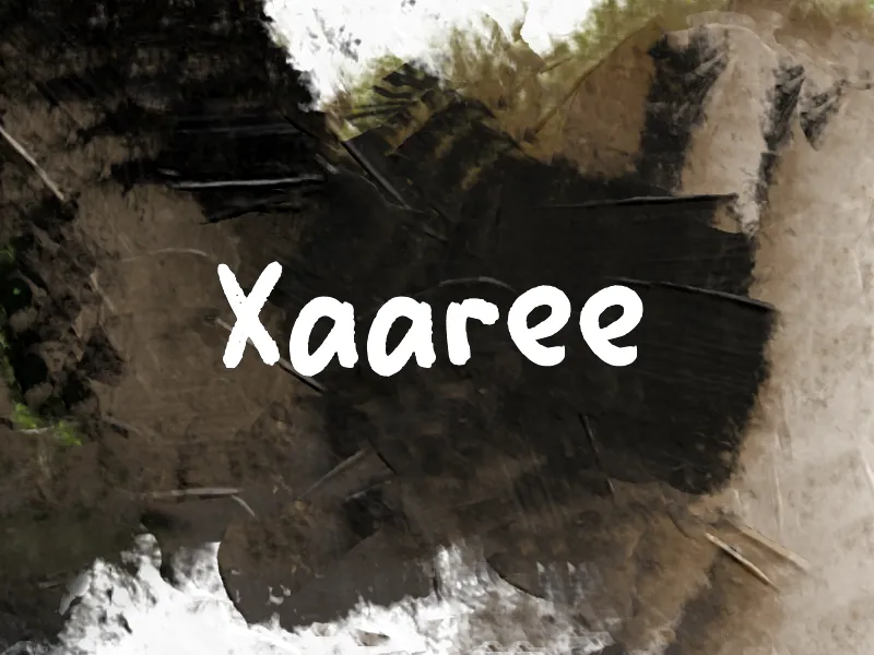 Xaaree author illustration