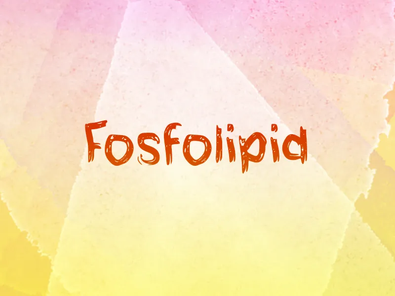 f Fosfolipid author illustration
