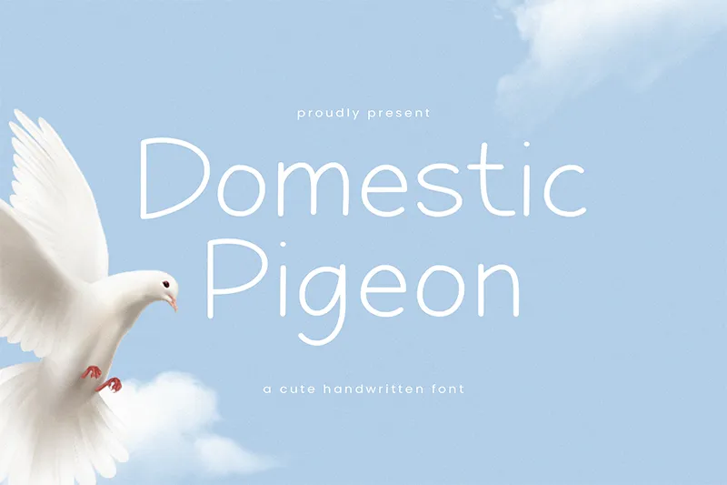 Domestic Pigeon author illustration