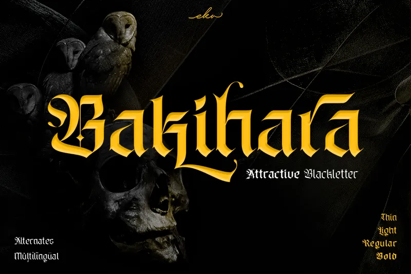 Bakihara author illustration