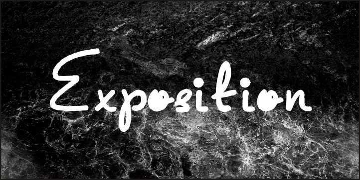 Exposition author illustration