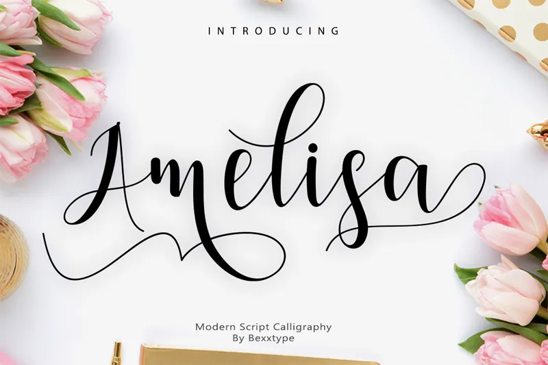 Amelisa author illustration