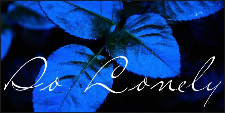 So Lonely author illustration