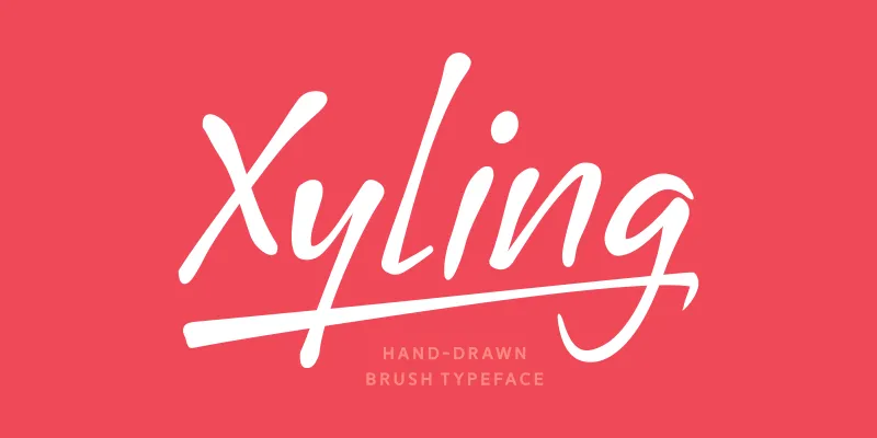 Xyling author illustration