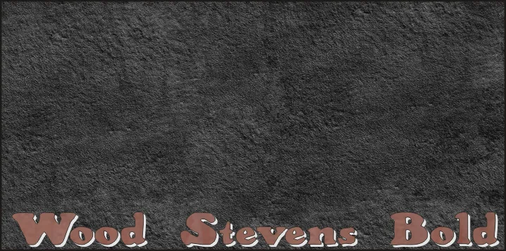 Wood Stevens Bold author illustration