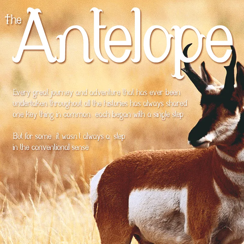 Antelope author illustration