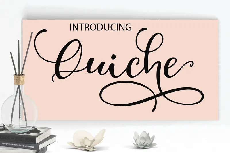 Quiche author illustration