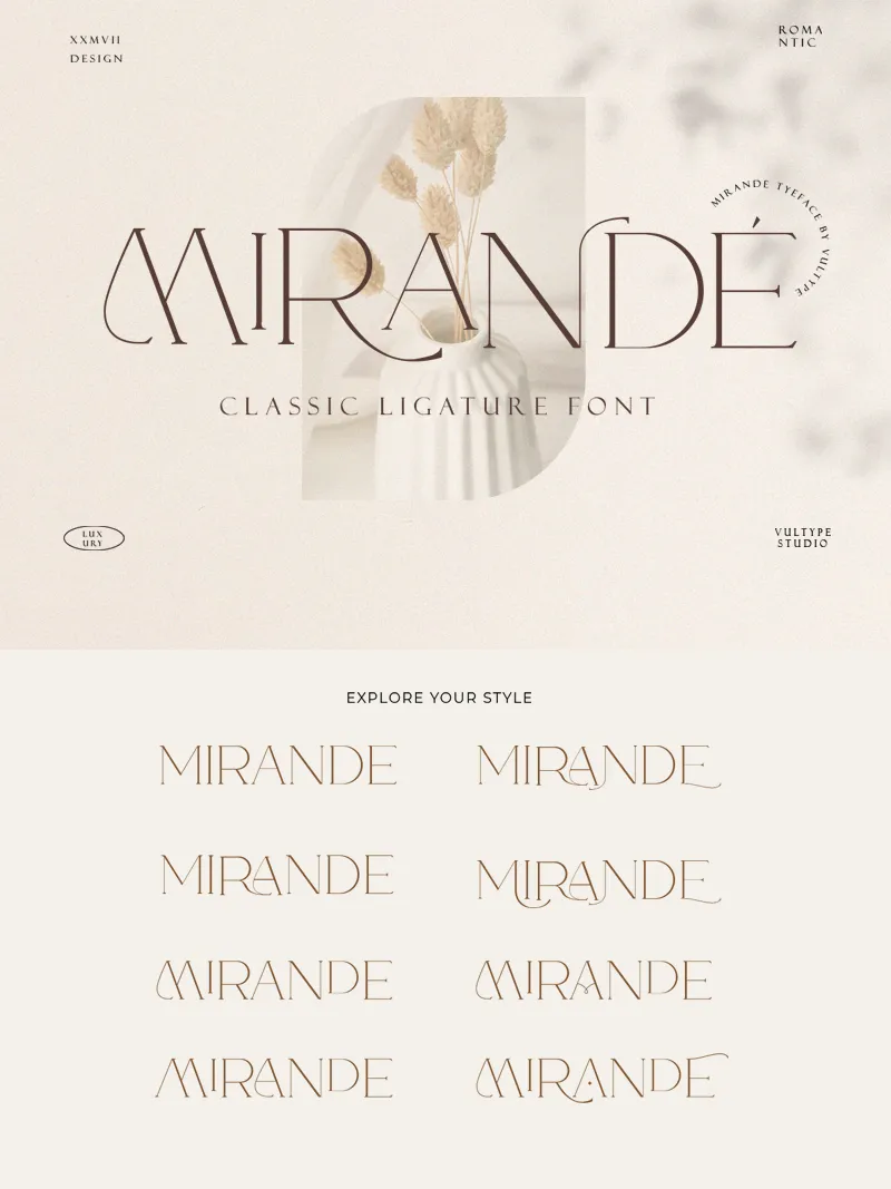 Mirande author illustration