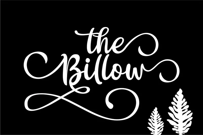 The Billow author illustration