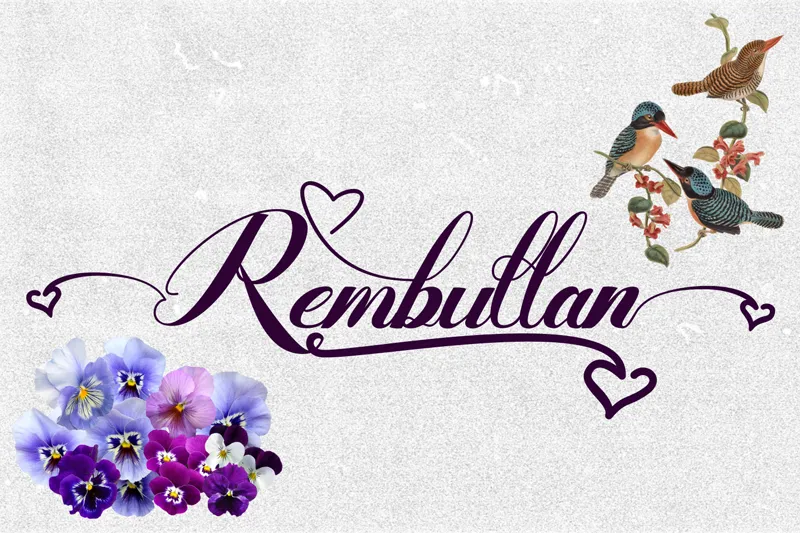 Rembullan author illustration
