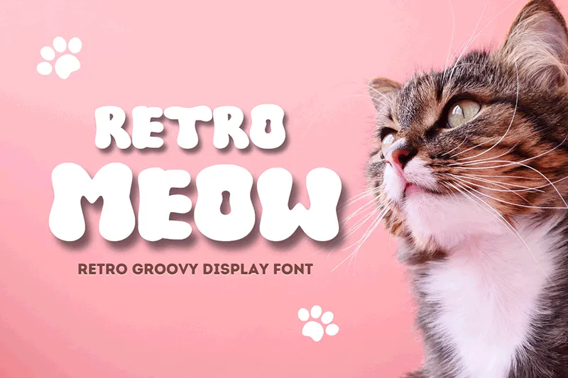 Retro Meow author illustration