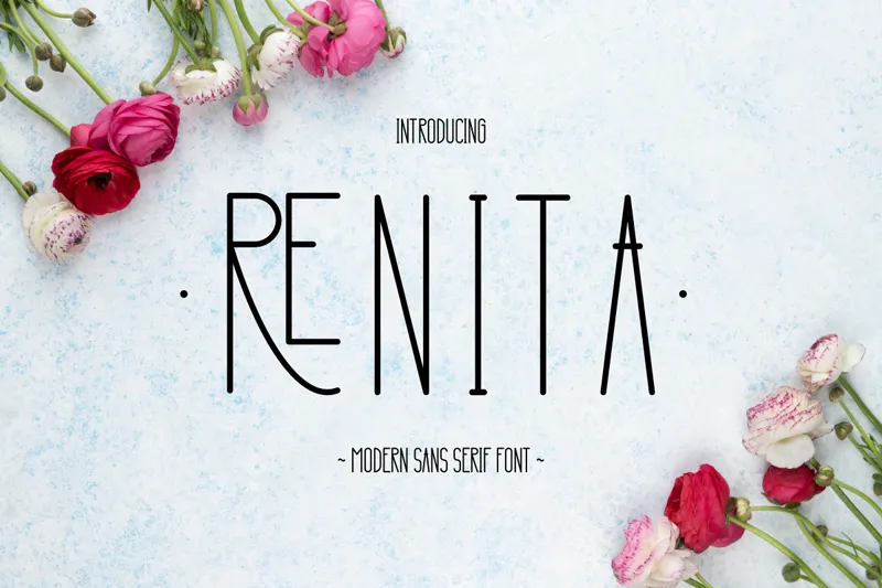 Renita author illustration