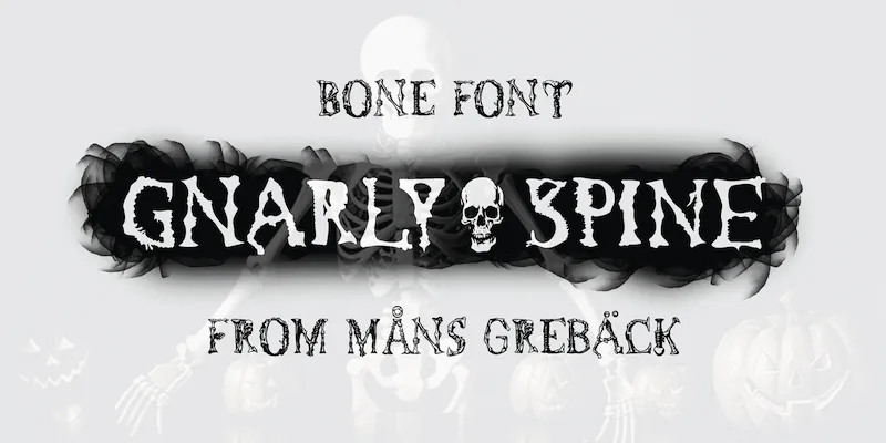 Gnarly Spine author illustration