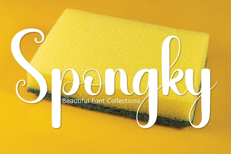 Spongky author illustration