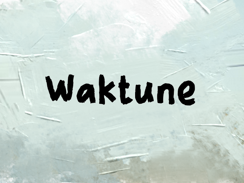 Waktune author illustration