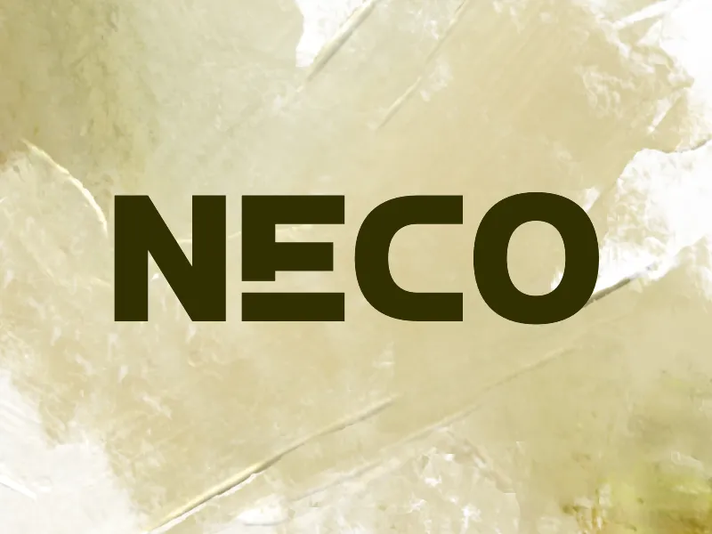 n Neco author illustration