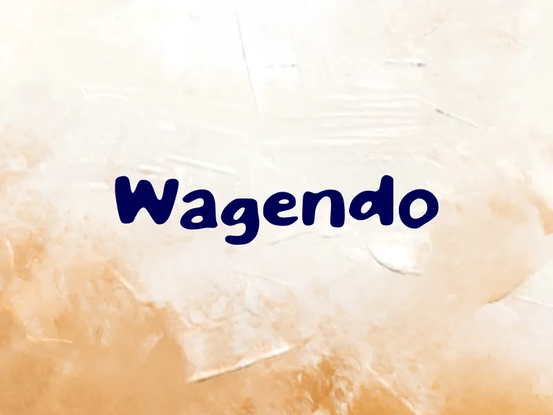 Wagendo author illustration