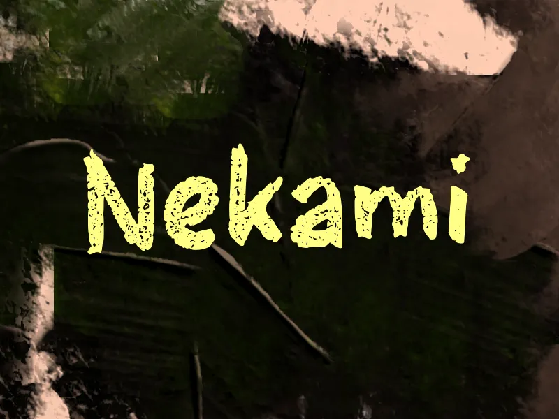 n Nekami author illustration