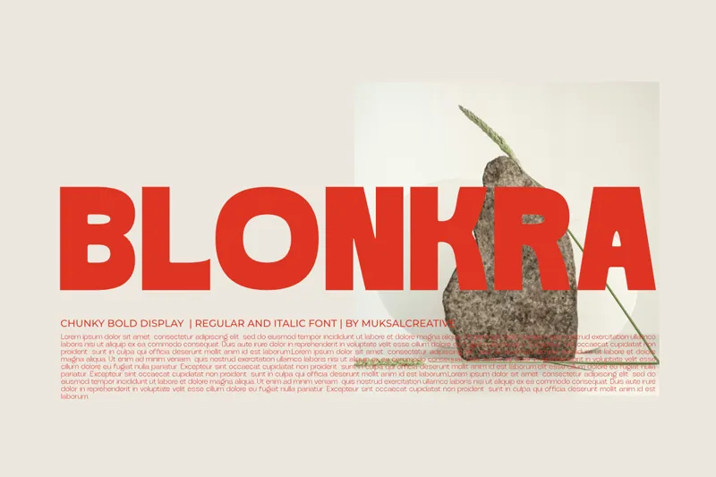 Blonkra author illustration