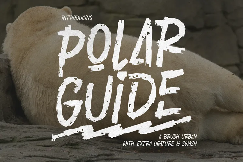 Polar Guide author illustration