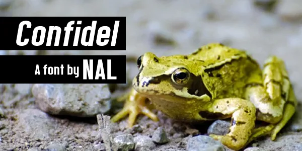 Confidel author illustration