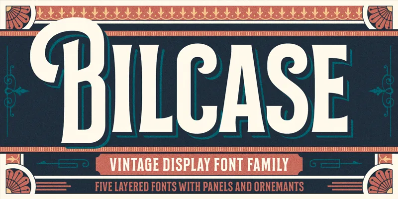 Bilcase author illustration