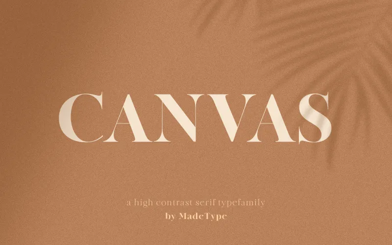 MADE Canvas author illustration