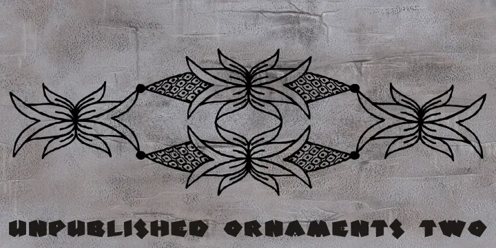 Unpublished Ornaments Two author illustration